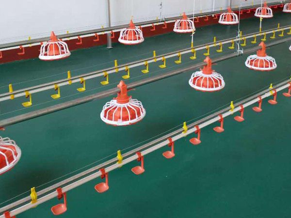 肉雞平養(yǎng)設備